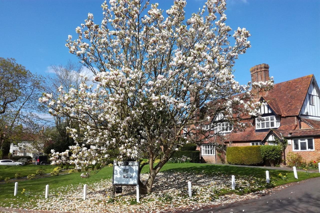 The Brickwall Hotel Sedlescombe Екстериор снимка