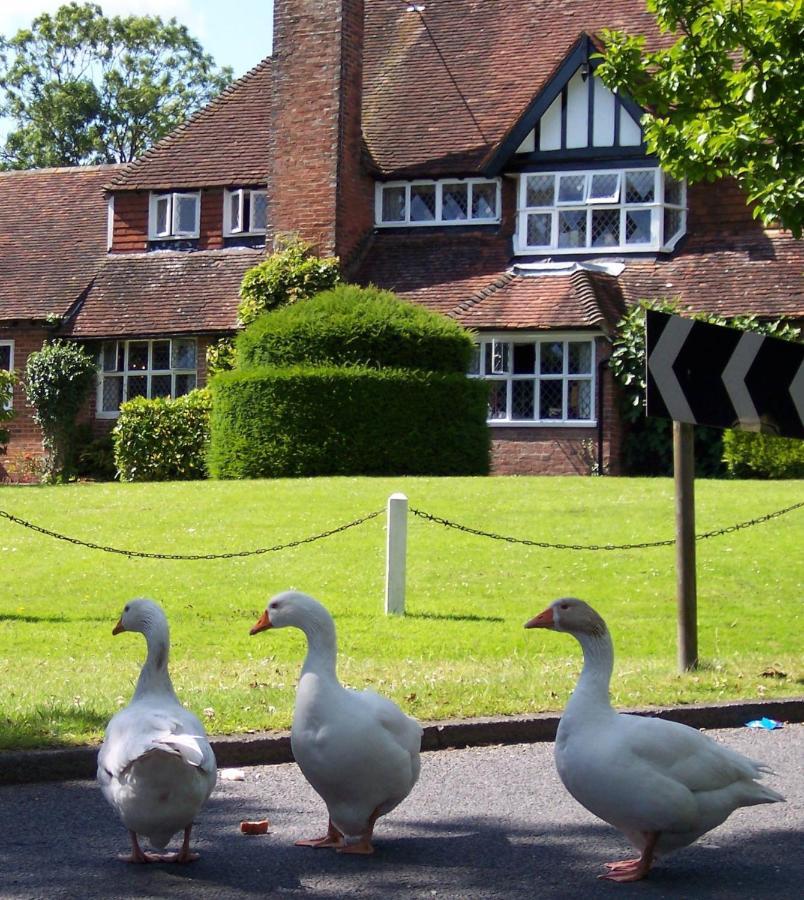 The Brickwall Hotel Sedlescombe Екстериор снимка